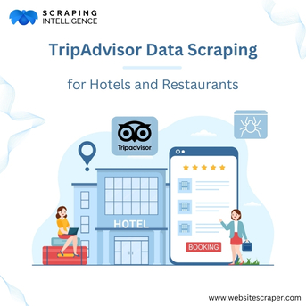Houston, Software Development, TripAdvisor Data Scraping For Hotels And Restaurants