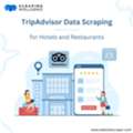 TripAdvisor Data Scraping For Hotels And Restaurants