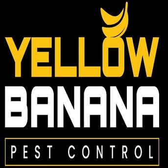 New York, Business, Yellow Banana Pest Control