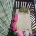 SAR 250,  Kids Cot For Sale