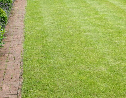 Kuwait City, Apartments/Houses, KWD 750/month,  Studio,  POOL! Pets Friendly 3 Bedroom In Abu Al Hasaniya With Garden