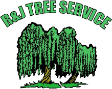 New York, Farm/Garden, Clear Out Unsightly Tree Stumps With Professional Tree Care Advocate