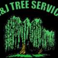 Clear Out Unsightly Tree Stumps With Professional Tree Care Advocate