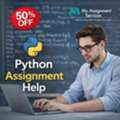 Affordable Expert Support For Python Programming Assignments