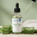Aloe Vera Carrier Oil &ndash; Pure & Natural Bulk Wholesale Supply