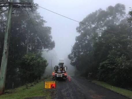Sydney, Labor/Moving, Reliable Tree Pruning Cairns - Local Arborists