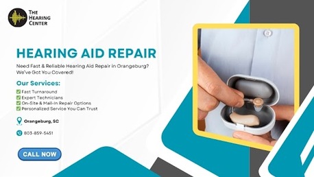 New York, Health, Expert Hearing Aid Repair Services In Orangeburg, SC