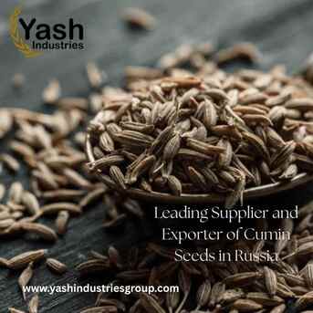Moscow, Business, Leading Supplier And Exporter Of Cumin Seeds In Russia