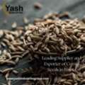 Leading Supplier And Exporter Of Cumin Seeds In Russia