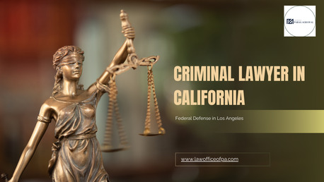 Los Angeles, Legal, Professional Criminal Law Consultation In Los Angeles