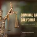 Professional Criminal Law Consultation In Los Angeles