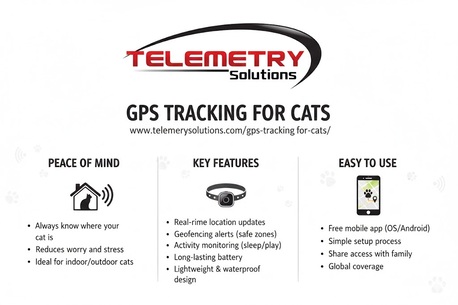 New York, Security, How Does A GPS Locator For Cats Help You Track Your Pet In Real Time?