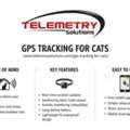 How Does A GPS Locator For Cats Help You Track Your Pet In Real Time?