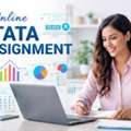 Online Stata Assignment Help &ndash; Expert Statistical Support