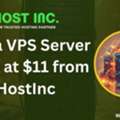 Buy A VPS Server India At $11 From HostInc