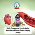 INR 660,  High Cholesterol Levels Kaise Kam Kare | Bharat Gram Udyog Sangh