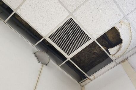 Brisbane, Household, Plasterer Brisbane