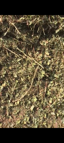 Islamabad, Business Partners, 🐪 EXPORT & IMPORT &ndash; CAMEL FOOD