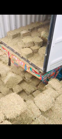 Islamabad, Business Partners, 🐪 EXPORT & IMPORT &ndash; CAMEL FOOD