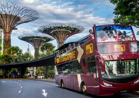 Singapore, Travel, Singapore Wheelchair Accessible Transport