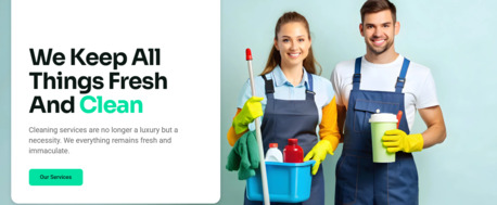 New York, Cleaning, Best Carpet Cleaning In Charlotte