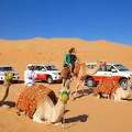 Camel Safari Oman