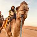 Private Trips & Tours In Morocco | Custom Travel Experiences By Move Morocco
