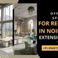 Ditch The Commute! Trendy Office Spaces In Noida Extension By Maxrow Properties