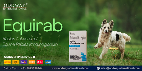 Manila, Health & Beauty Items, PHP 100,  Equirab Vaccine Available For Clinics In Philippines - Oddway