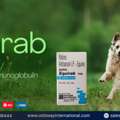 PHP 100, Equirab Vaccine Available For Clinics In Philippines - Oddway