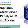 Cheap Linux Dedicated Server With CPanel/WHM & Root Access