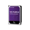 At Padamshree Infotech 1TB WD Purple Surveillance Internal Hard Drive Western Digital