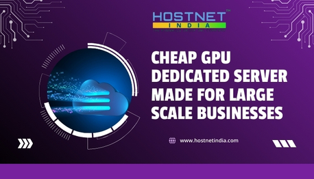 Mumbai, Technical, Cheap GPU Dedicated Server Made For Large Scale Businesses