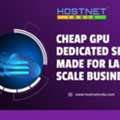 Cheap GPU Dedicated Server Made For Large Scale Businesses