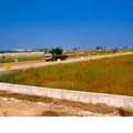 INR 25999,  165 Sq. Yard,  CRDA Approved Layout Premium Villa Open Plots@ Kaza Tollgate Mangalagiri