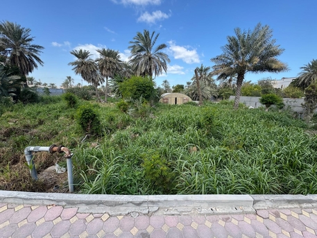 Saar, Agricultural Land, BHD 800,  1500 Sq. Meter,  Garden Land For Rent