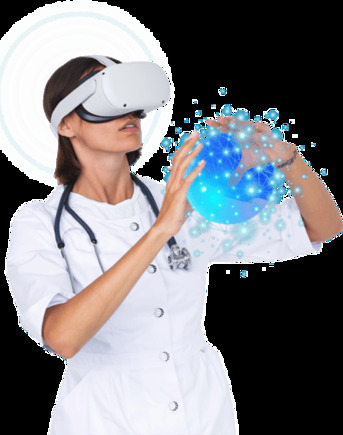 New York, Education, Human Anatomy Teaching Models For Education