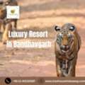 Luxury Resort In Bandhavgarh