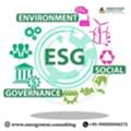 Need ESG Reporting? Hire ESG Consulting Specialists