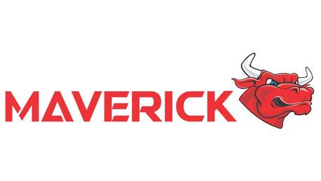 Noida, Marketing, Best Website Development Company In Delhi NCR - Maverick India