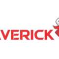 Best Website Development Company In Delhi NCR - Maverick India