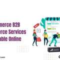 BigCommerce B2B Ecommerce Services For Scalable Online Growth
