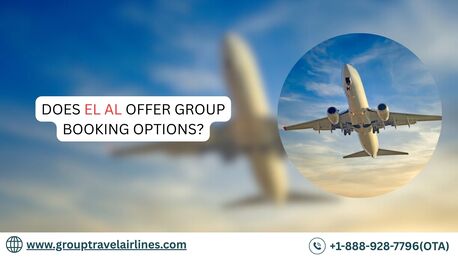 New York, Travel, Does EL AL Offer Group Booking Options?