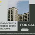 3 BR,  Brigade Calista Budigere Cross Bangalore - 2 And 3 BHK Homes