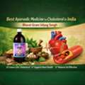 INR 660,  Best Ayurvedic Medicine For Cholesterol In India | Bharat Gram Udyog Sangh