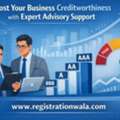 Boost Business Credit Score With Expert Advisory