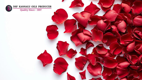 Lucknow, Business, Rose Petals Manufacturer And Supplier In India