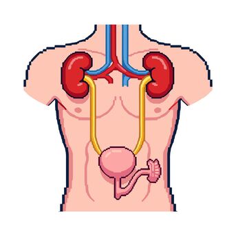 Mumbai, Health, Amyloidosis Treatment In India For Uzbekistan Patients
