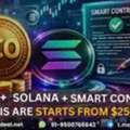 Turn Your Crypto Idea Into A Solana-Based ICO With Smart Contracts &ndash; From $2500