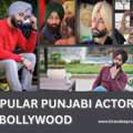 🔥 Popular Punjabi Actor In Bollywood &ndash; Kirandeeprayat